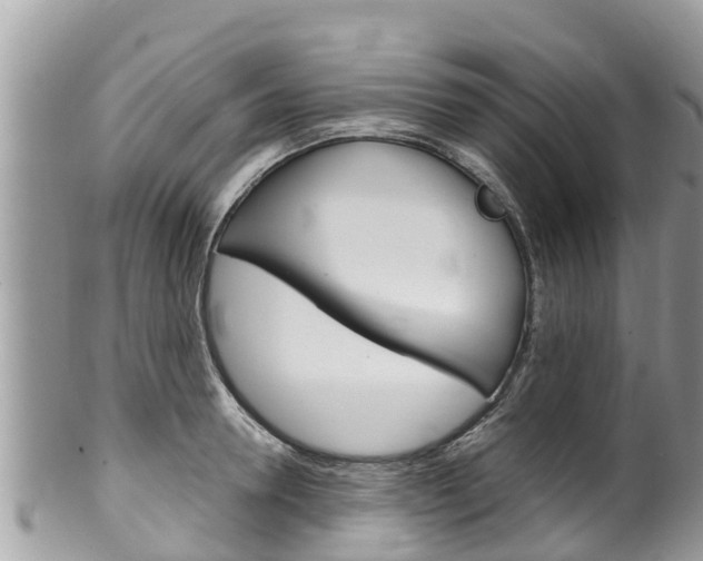 X0000100490946200806130752