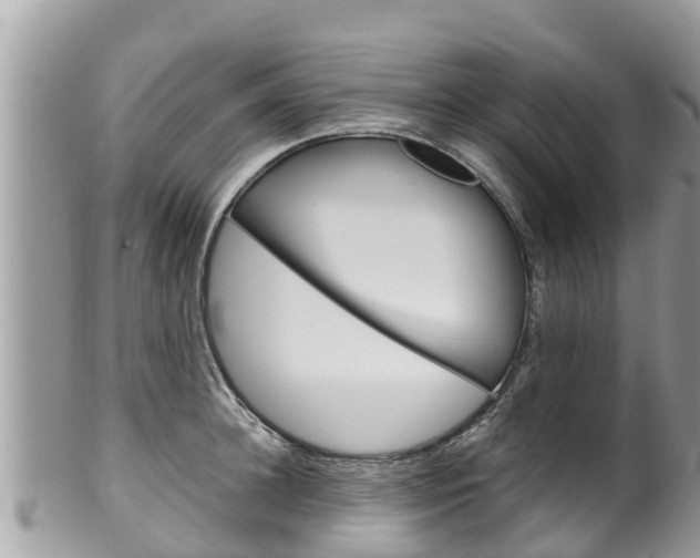 X0000100490948200806130752