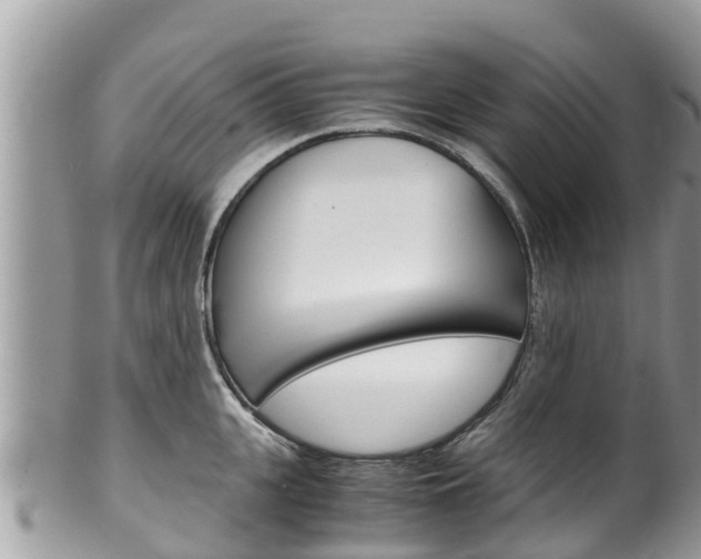 X0000100490951200806130752