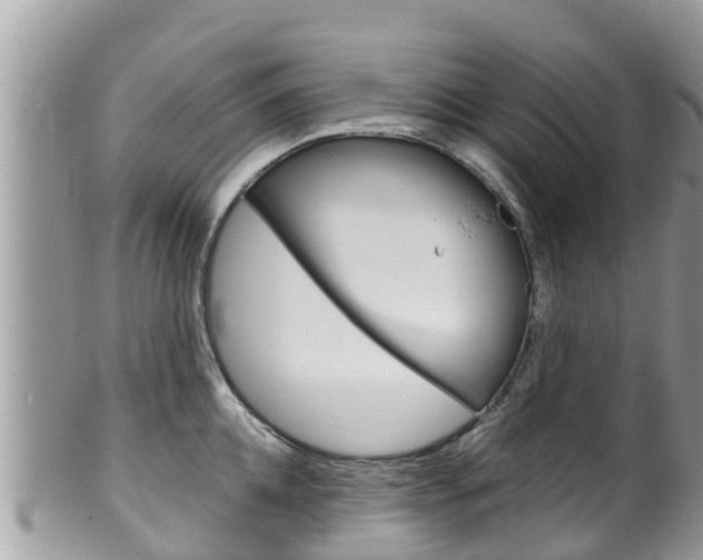 X0000100490952200806130752