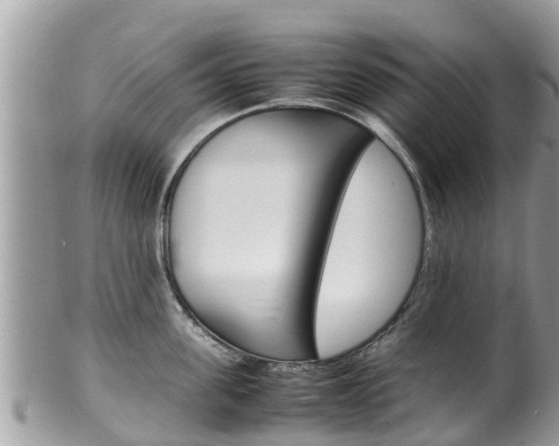 X0000100490955200806130752