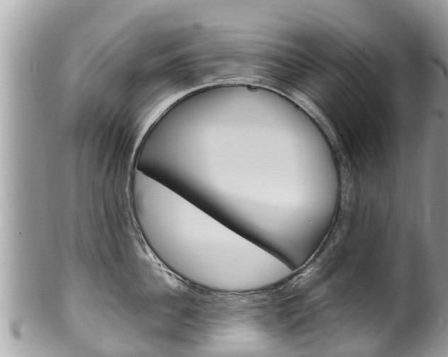X0000100490956200806130752