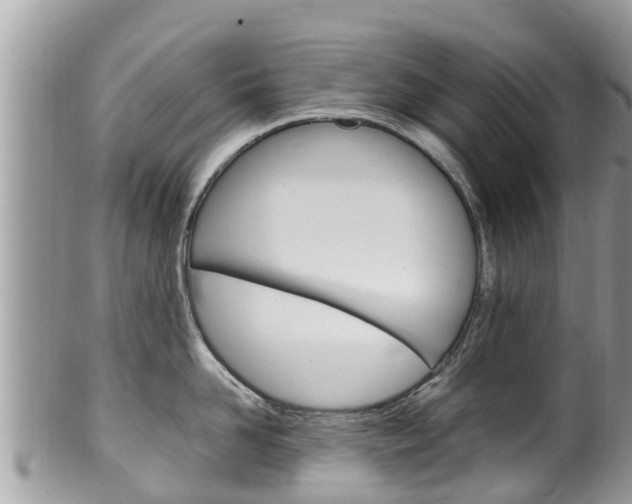 X0000100490958200806130752