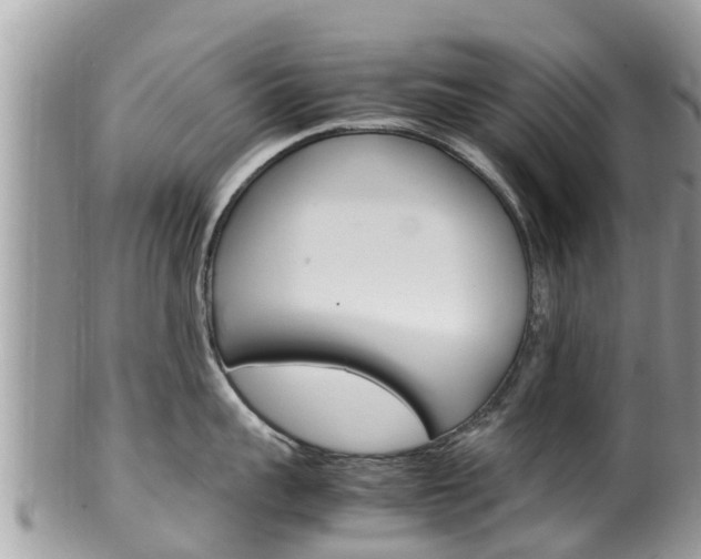 X0000100490959200806130752