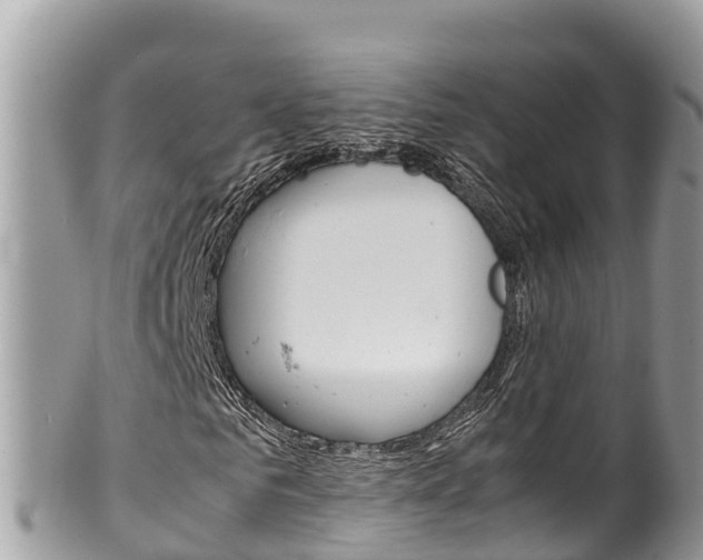 X0000100490961200806130752