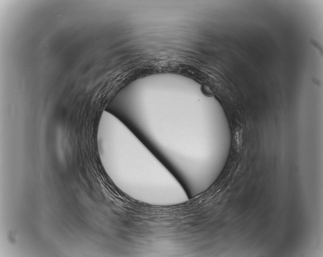 X0000100490963200806130752