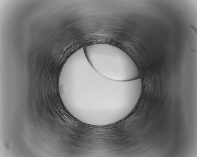 X0000100490964200806130752