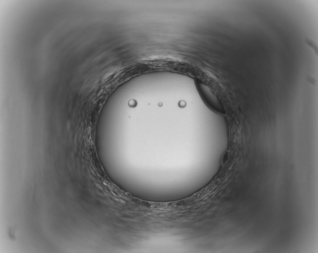 X0000100490965200806130752