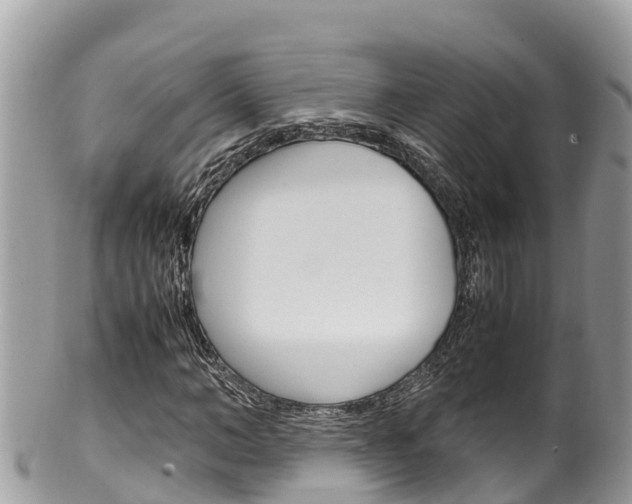 X0000100490966200806130752