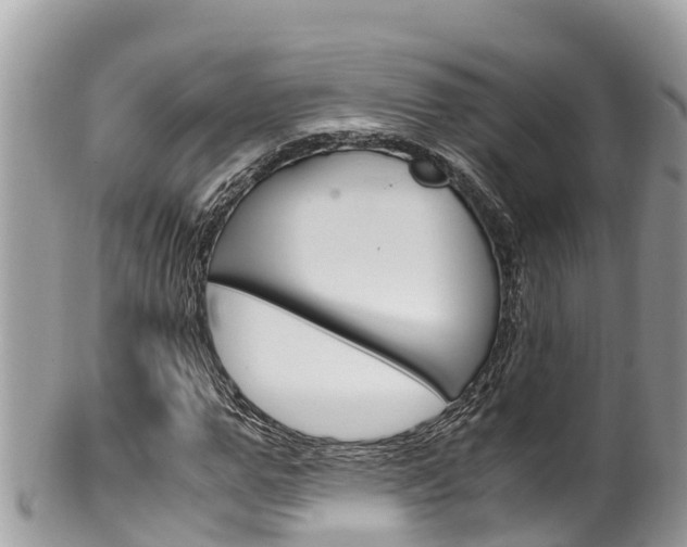 X0000100490967200806130752