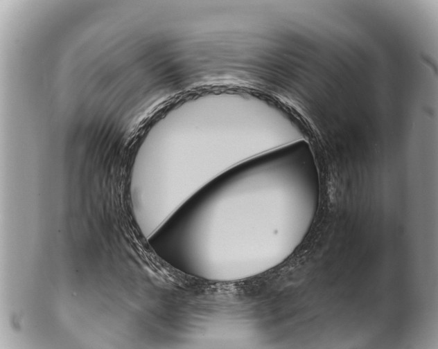 X0000100490968200806130752