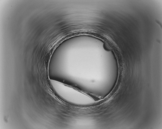 X0000100490969200806130752
