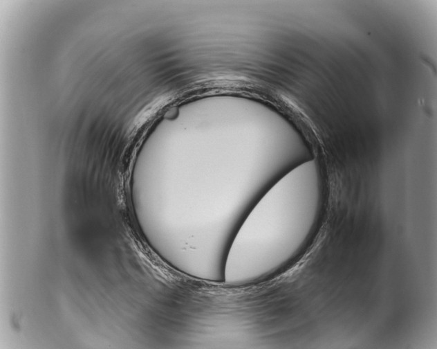 X0000100490970200806130752
