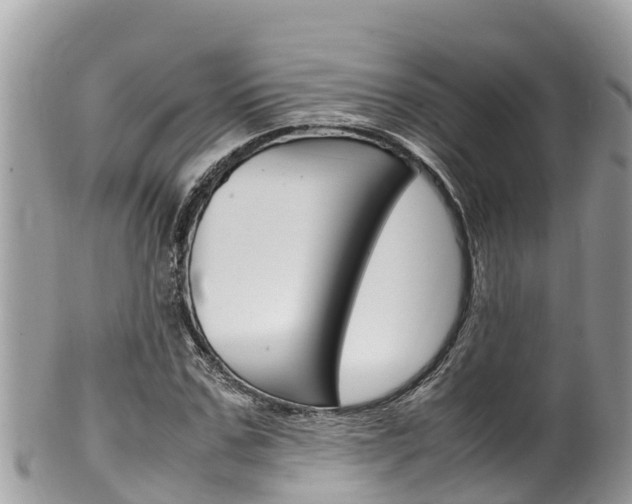 X0000100490971200806130752