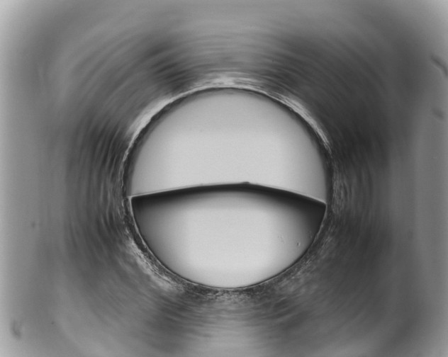 X0000100490972200806130752