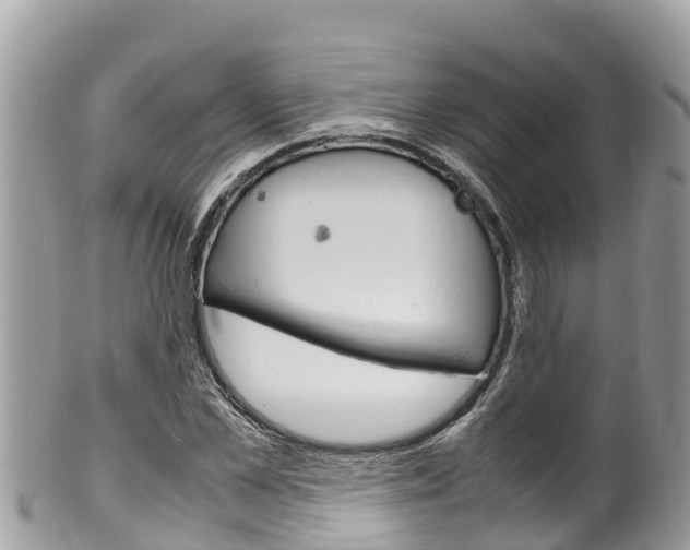 X0000100490973200806130751