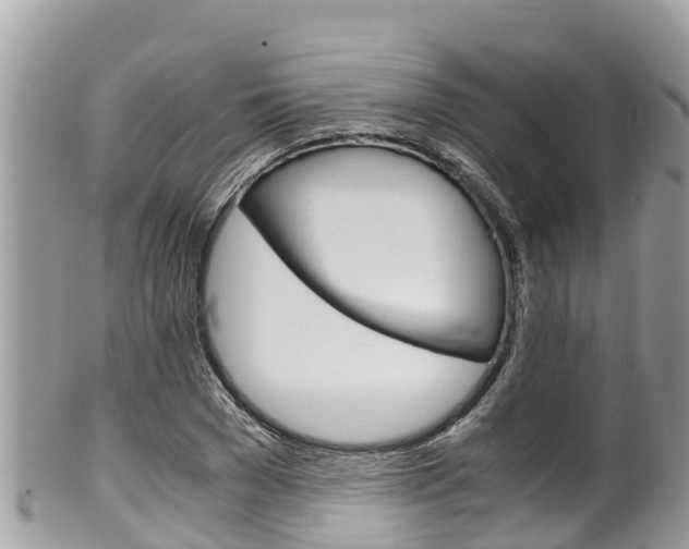 X0000100490977200806130751