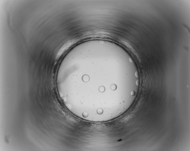 X0000100490978200806130751