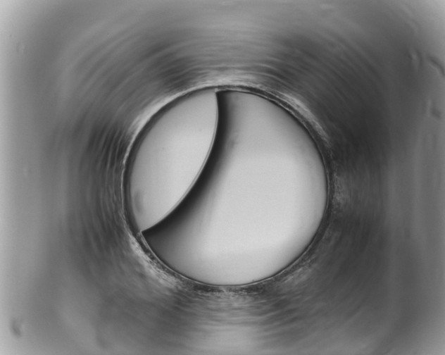X0000100490980200806130751