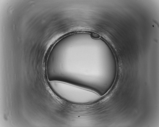 X0000100490981200806130751