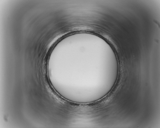 X0000100490983200806130751