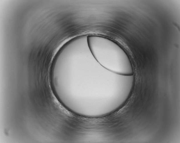 X0000100490984200806130751