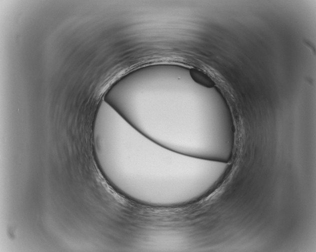 X0000100490985200806130751