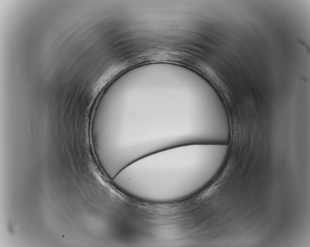 X0000100490986200806130751
