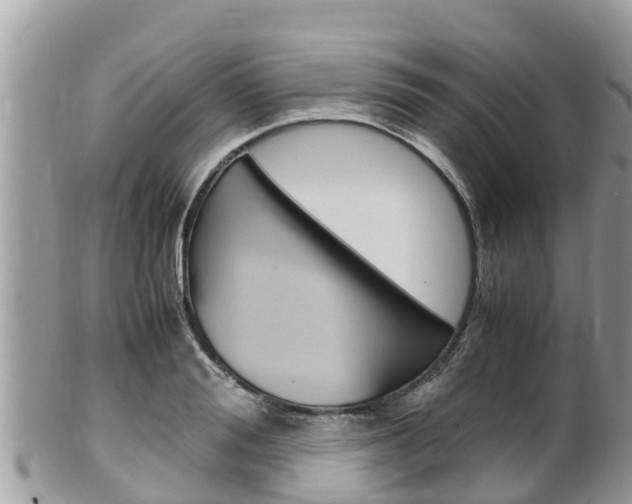 X0000100490988200806130751