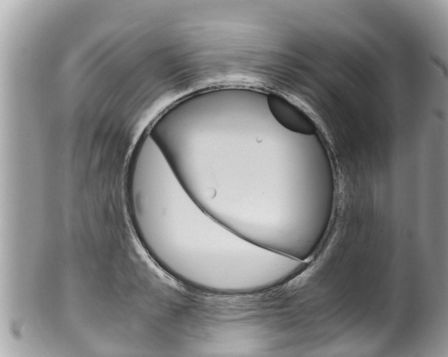 X0000100490989200806130751