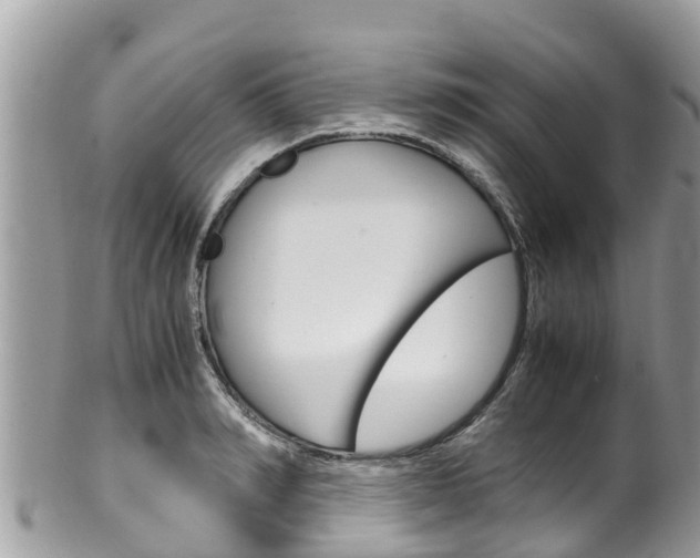 X0000100490990200806130751
