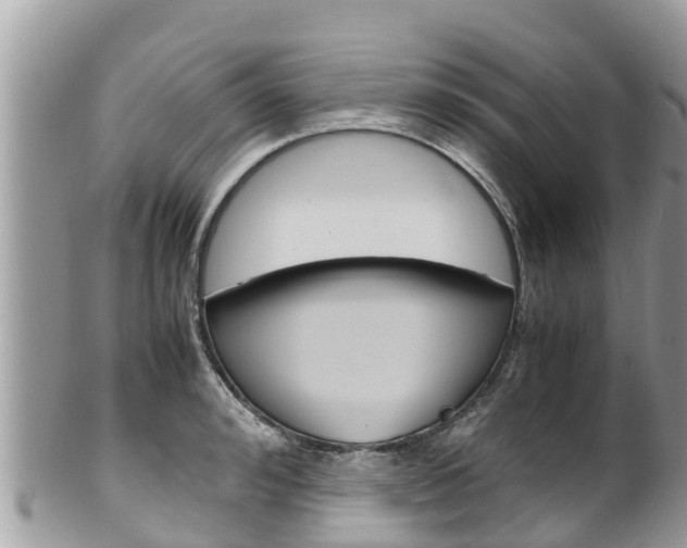 X0000100490992200806130751