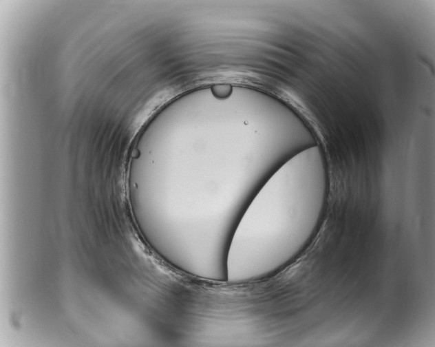 X0000100490994200806130751