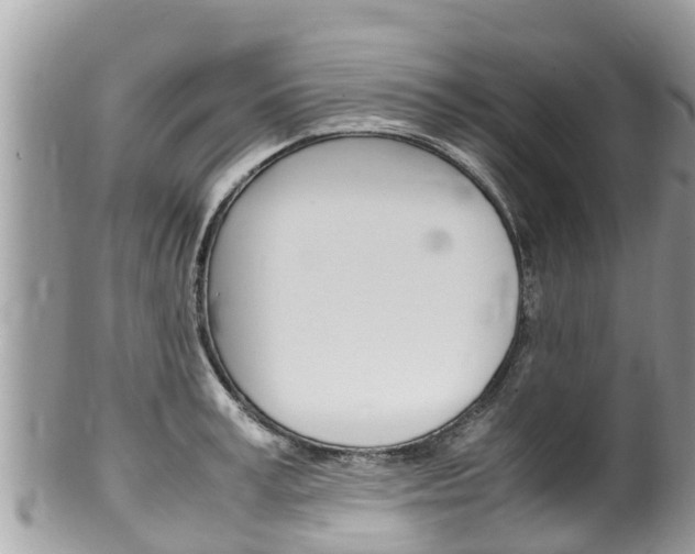 X0000100490995200806130751