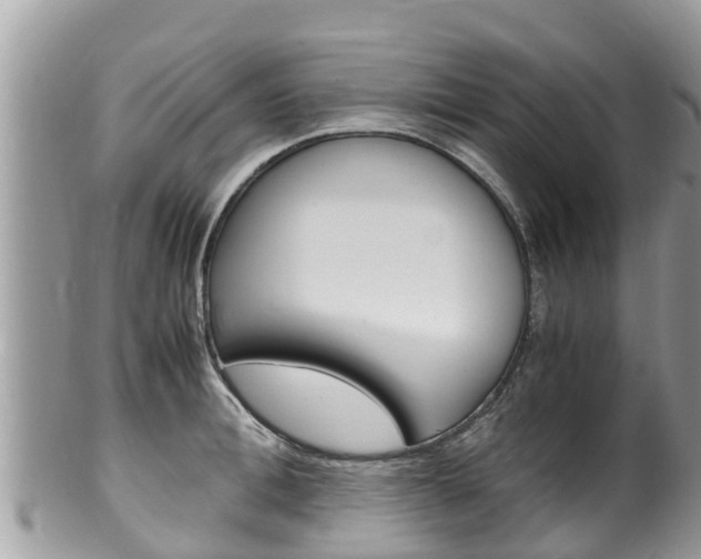 X0000100490996200806130751