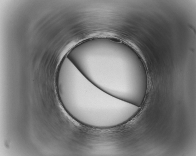 X0000100490997200806130751
