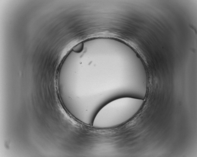 X0000100490998200806130751