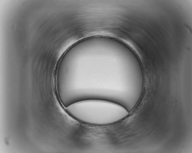 X0000100490999200806130751
