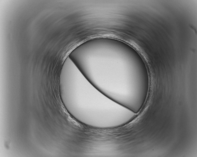 X0000100491001200806130751