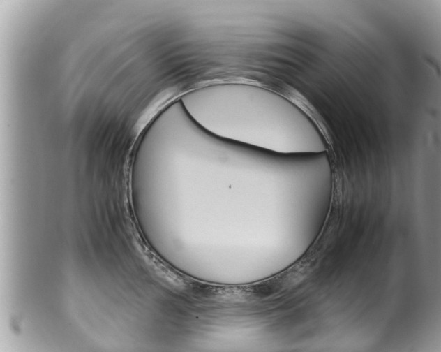 X0000100491002200806130751