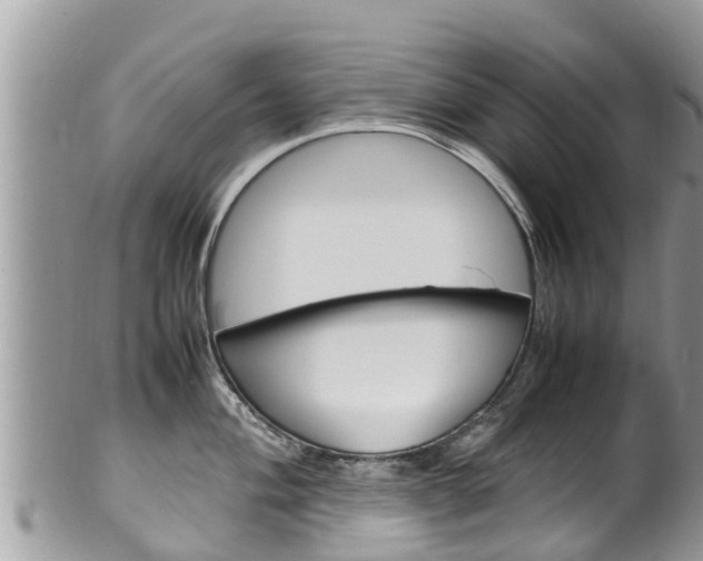 X0000100491004200806130751