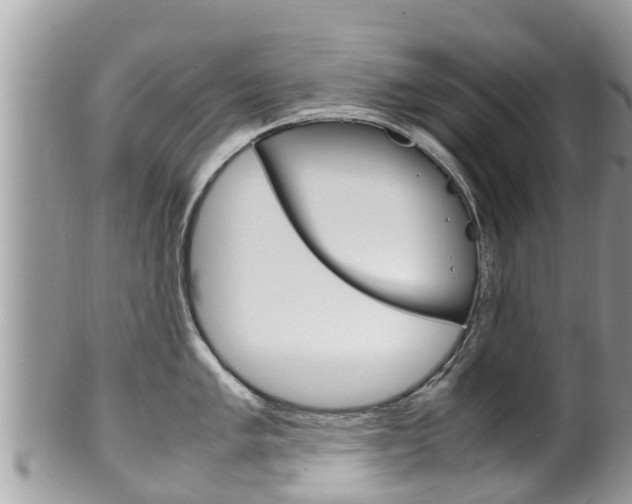X0000100491005200806130751