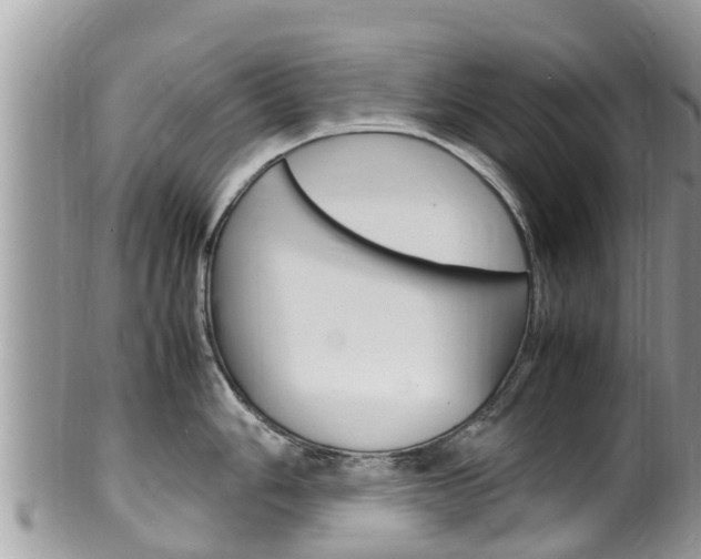 X0000100491006200806130751