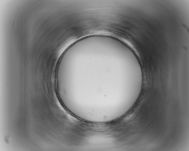 X0000100491007200806130751