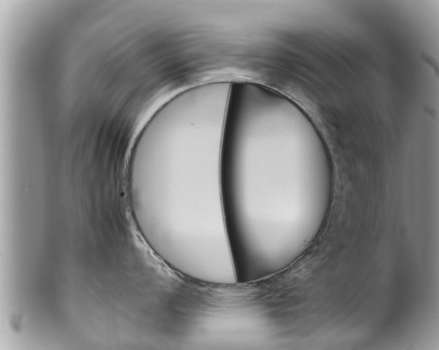 X0000100491008200806130751