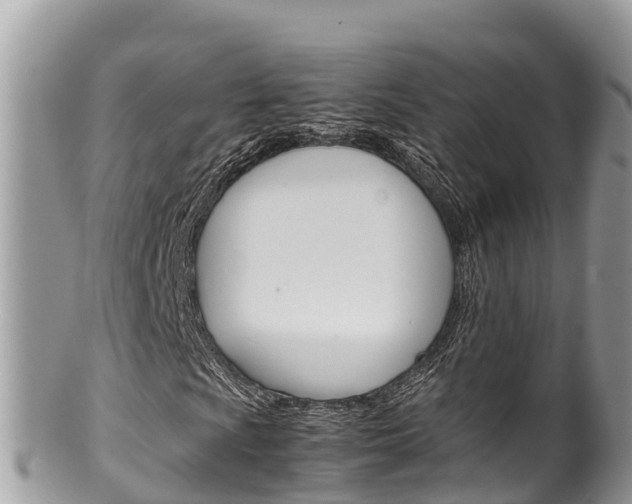 X0000100491009200806130750
