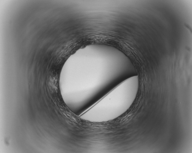 X0000100491010200806130750