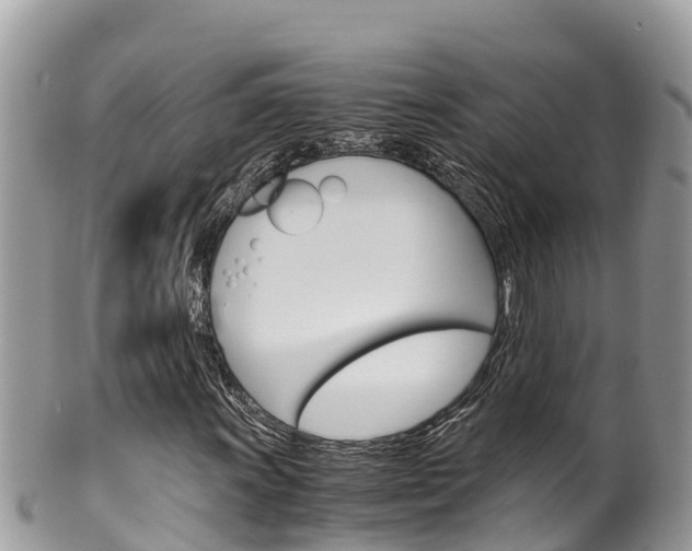X0000100491011200806130750