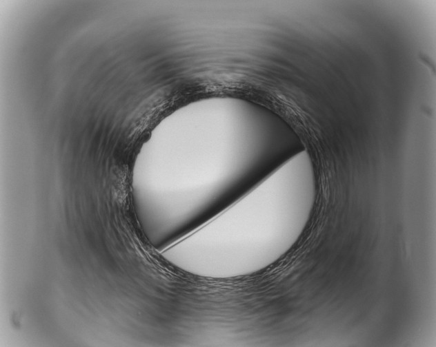 X0000100491012200806130750