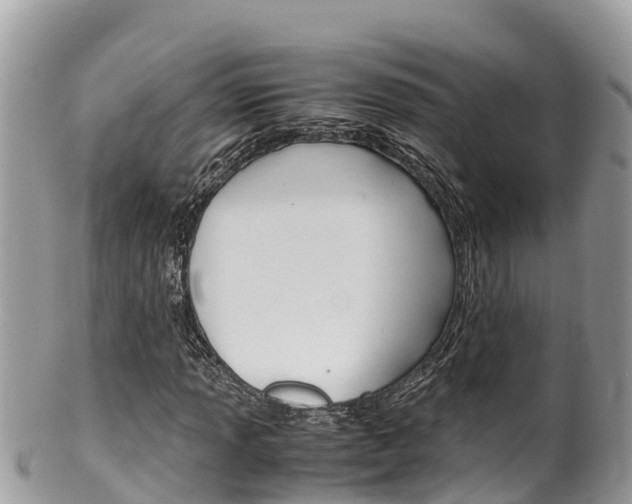 X0000100491013200806130750